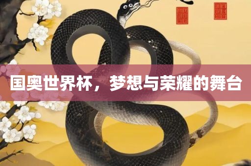 国奥世界杯，梦想与荣眉山市正发家政服务有限公司耀的舞台