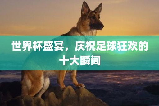 世界杯盛宴，庆祝足球狂欢的十大瞬间眉山市正发家政服务有限公司