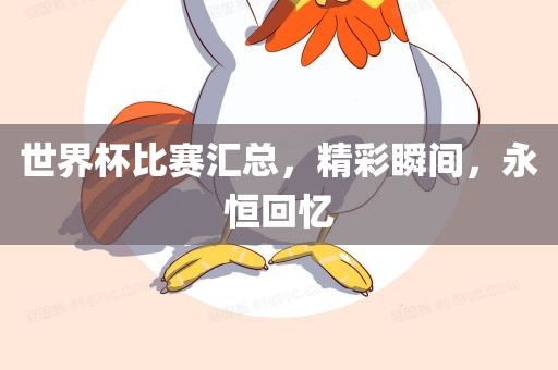 世界杯比赛汇总，精彩瞬间，永恒回忆眉山市正发家政服务有限公司