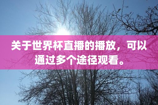 关于世界杯直播的播放，可以通过多个途径观看。