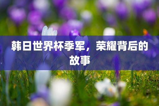 韩日世界杯季军，荣耀背后的故事