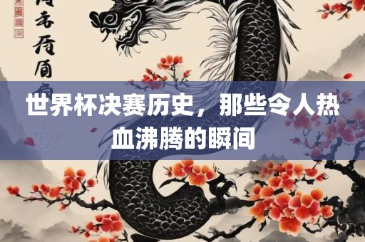 世界杯决赛历史，那些令人热血沸腾的瞬间