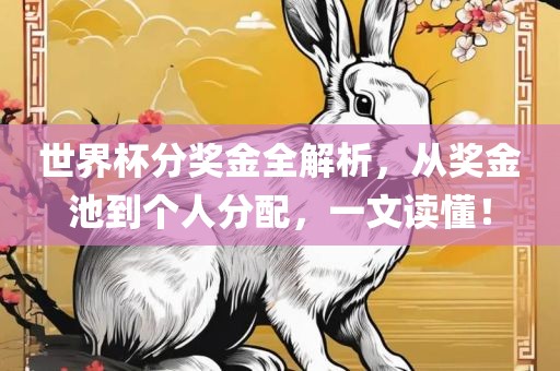 世界杯分奖金全解析，从奖金池到个人分配，一文读懂！
