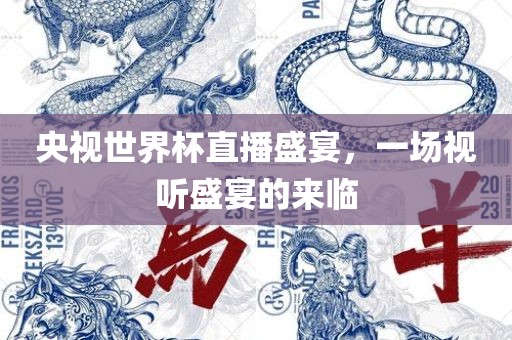 央视世界杯直眉山市正发家政服务有限公司播盛宴，一场视听盛宴的来临