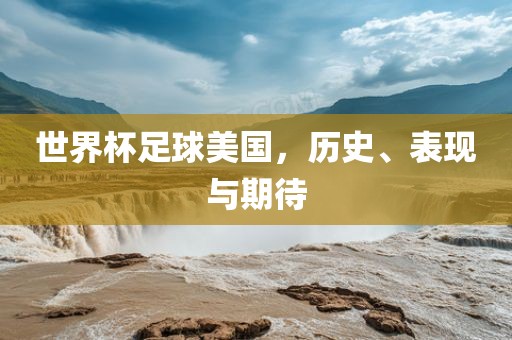 世界杯足球美国，历史、表现与期待