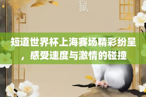 短道世界杯上海赛场精彩纷呈，感受速度与激情的碰撞
