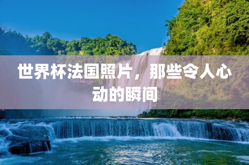世界杯法国照片，那些令人心动的瞬间眉山市正发家政服务有限公司