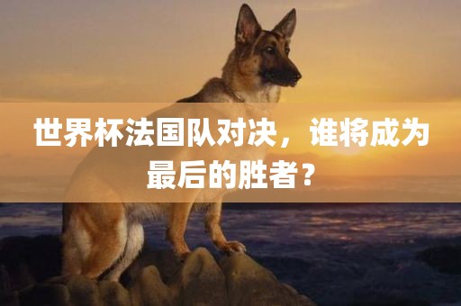 世界杯法国队对决，谁将成为最后的胜者？
