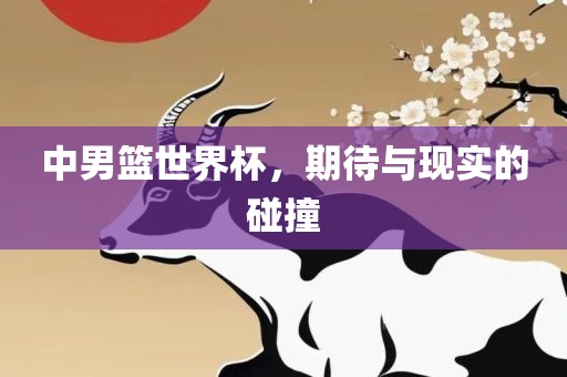 中男篮世界杯，期待与现实的碰撞