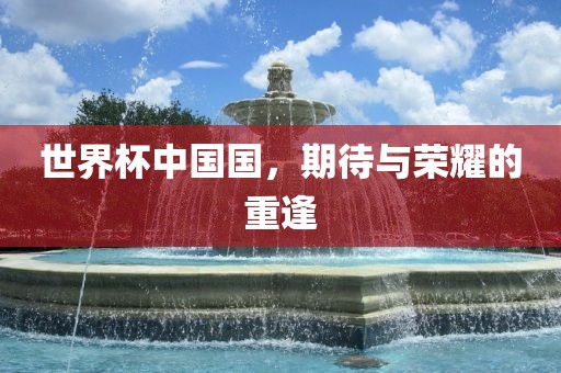 世界杯中国国，眉山市正发家政服务有限公司期待与荣耀的重逢