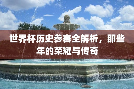 世界杯历史参赛全解析，那些年的荣耀与传奇眉山市正发家政服务有限公司