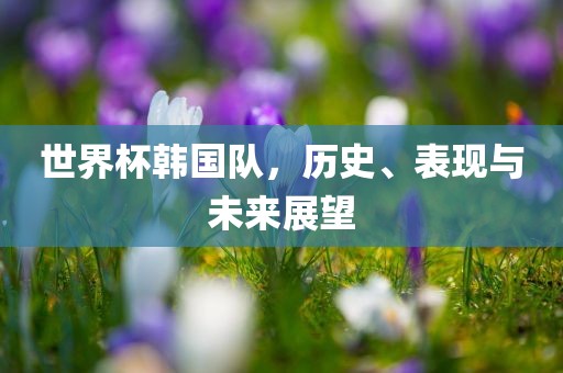 世界杯韩国队，历史、表现与未来展望