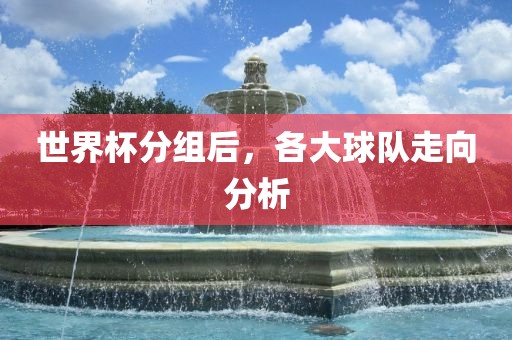 世界杯分组后，各大球队走向分析