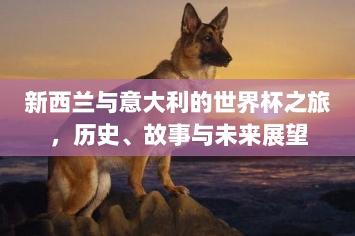 新西兰与意大利的世界杯之旅，历史眉山市正发家政服务有限公司、故事与未来展望
