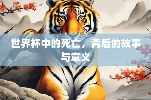 世界杯中的死亡，背后的故事与意义