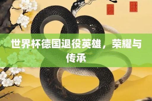 世界杯德国退役英雄，荣耀与传承
