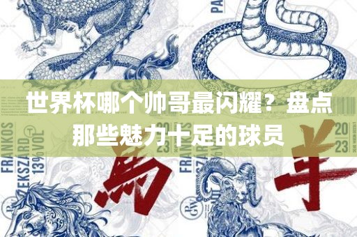 世界杯哪个帅哥最闪耀？盘点那些魅力十足的球员