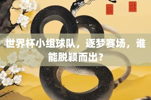 世界杯小组球队，逐梦赛场，谁能脱颖而出？