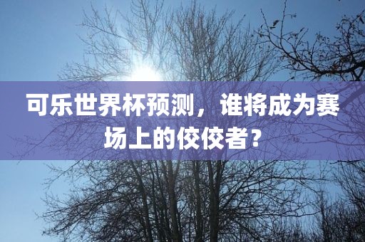可乐世界杯预测，谁将成为赛场上的佼佼者？