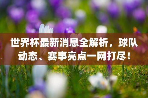 世界杯最新消息全解析，球队动态、赛事亮点一网打尽！