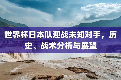 世界杯日本队迎战未知对手，历史、战术分析与展望
