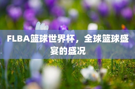 FLBA篮球世界杯，全球篮球盛宴的盛况