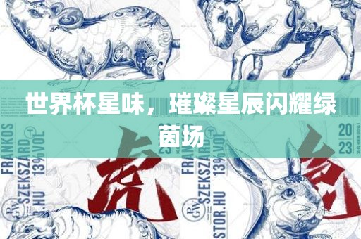 世界杯星味，璀璨星辰闪耀绿茵场眉山市正发家政服务有限公司