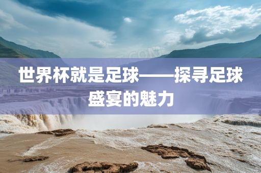 世界杯就是足球——探寻足球盛宴的魅力眉山市正发家政服务有限公司