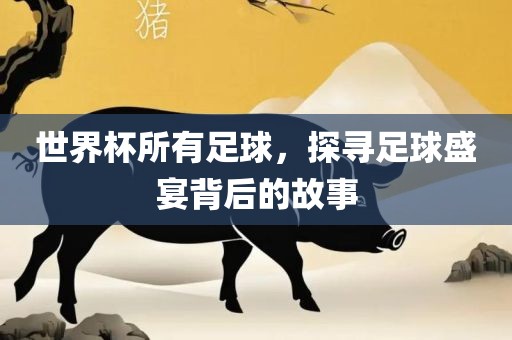 世界杯所有足球，探寻足球盛宴背后的故事眉山市正发家政服务有限公司