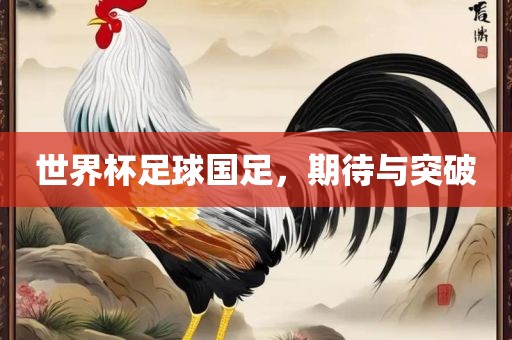 世界杯足球国足，期待与突破眉山市正发家政服务有限公司