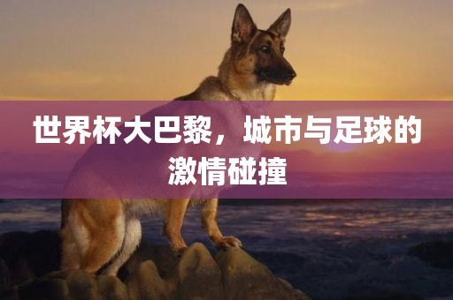 世界杯大巴黎，城市眉山市正发家政服务有限公司与足球的激情碰撞