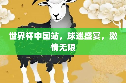 世界杯中国站，球迷盛宴，激情无限