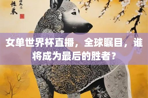 女单世界杯直播，全球瞩目，谁将成为最后的胜者？