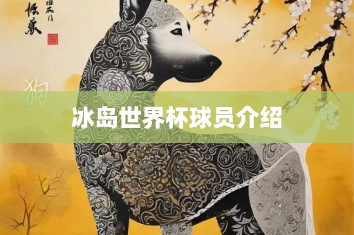 冰岛世界杯球员介绍