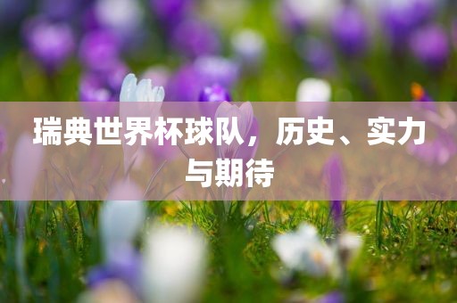 瑞典世界杯球队，历史、实力与期待