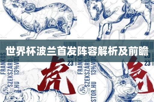 世界杯波兰首发阵容解析及前瞻