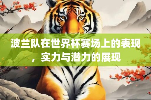 波兰队在世界杯赛场上的表现，实力与潜力的展现眉山市正发家政服务有限公司