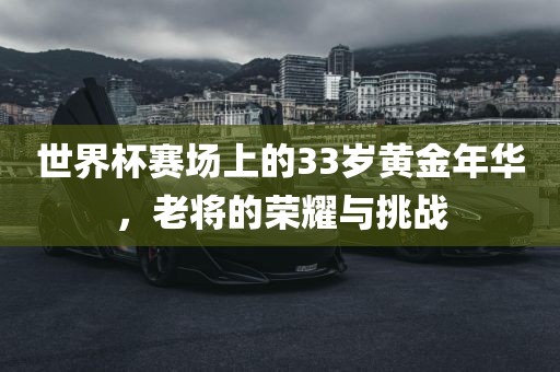 世界杯赛场上的33岁黄金年华，老将的荣耀与挑战眉山市正发家政服务有限公司
