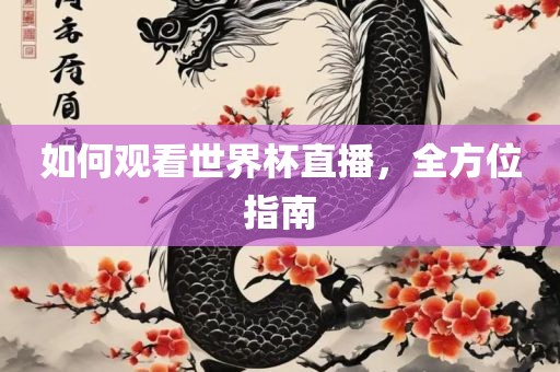 如何观看世界杯直播，全方位指南