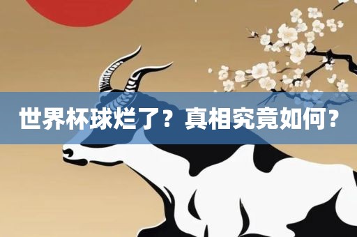 世界杯球烂了？真相究竟如何？
