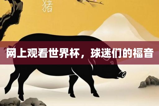 网上观看世界杯，球迷们的福音