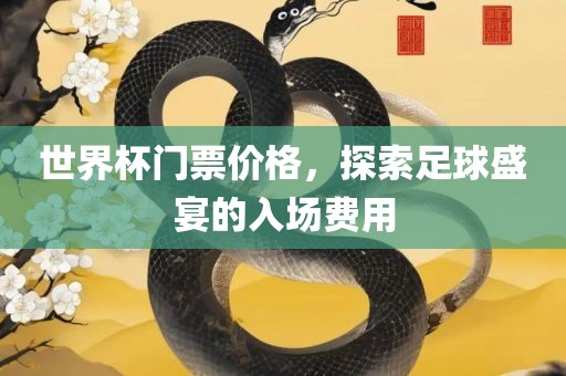 世界杯门票价格，探索足球盛宴的入场费用