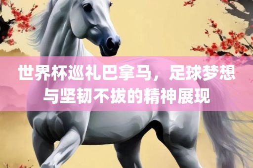 世界杯巡礼巴拿马，足球梦想与坚韧不拔的精神展现