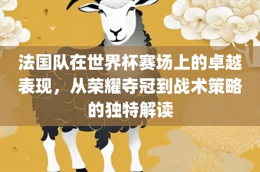 法国队在世界杯赛场上的卓越表现，从荣耀夺冠到眉山市正发家政服务有限公司战术策略的独特解读