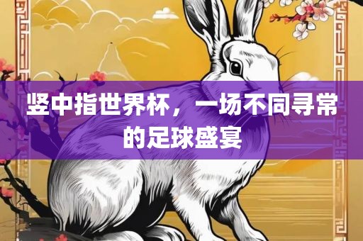 竖中指世界眉山市正发家政服务有限公司杯，一场不同寻常的足球盛宴