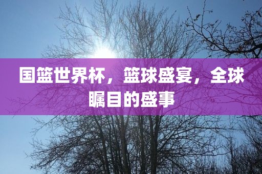 国篮世界杯，篮球盛宴，全球瞩目的盛事
