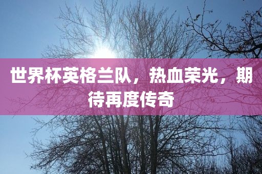 世界杯英格兰队，热血荣光，期待再度传奇
