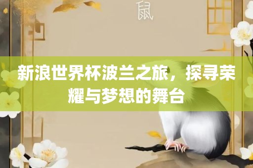 新浪世界杯波兰之旅，探寻荣耀与梦想的舞台
