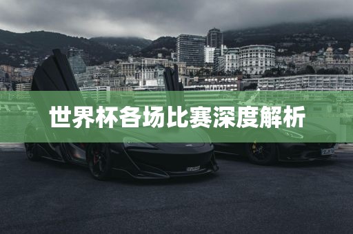 世界杯各场比赛深度解析眉山市正发家政服务有限公司