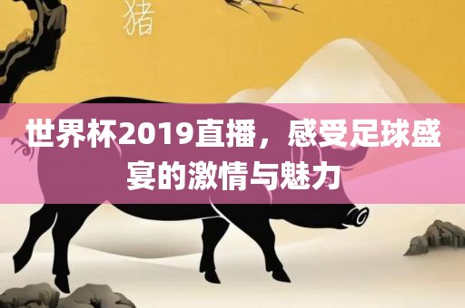 世界杯2019直播眉山市正发家政服务有限公司，感受足球盛宴的激情与魅力
